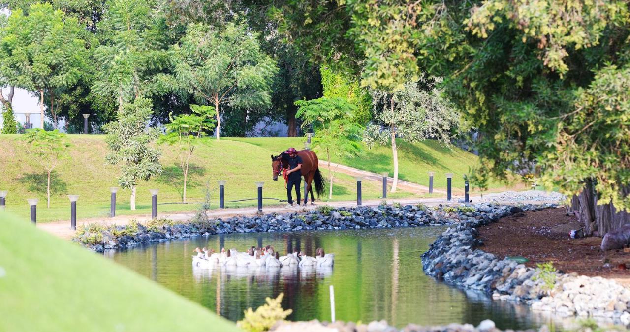 Nirvana Retreat Digdaga Ngoại thất bức ảnh